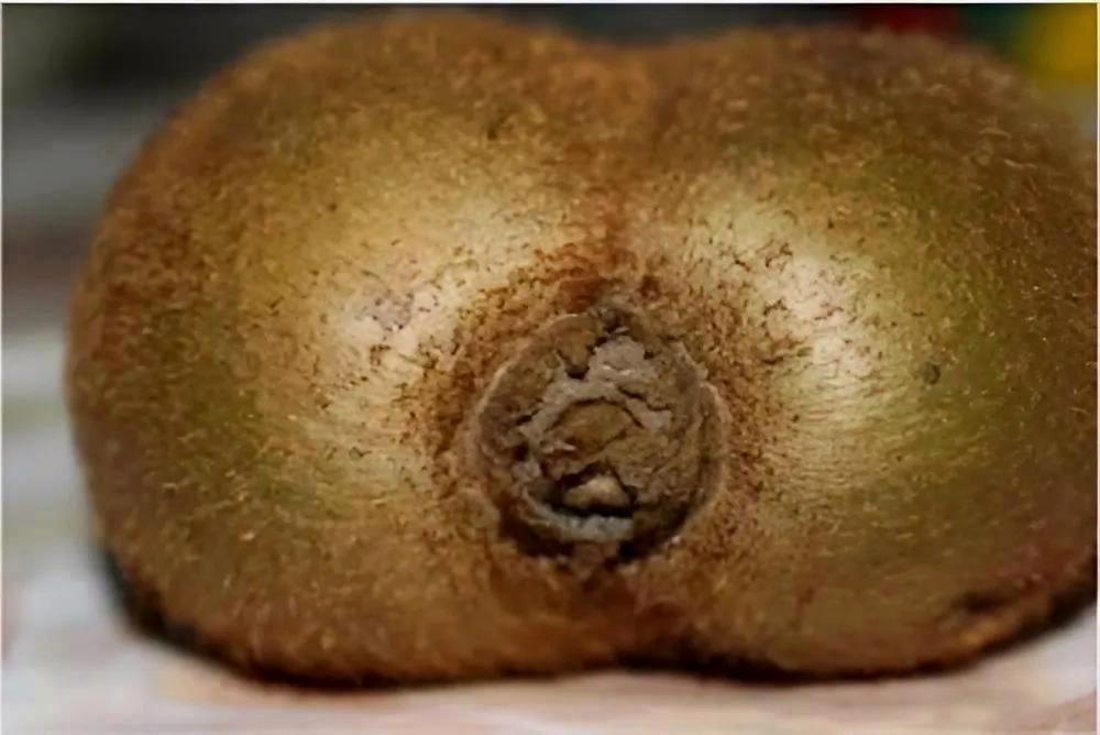 Fókuszban a nyomás