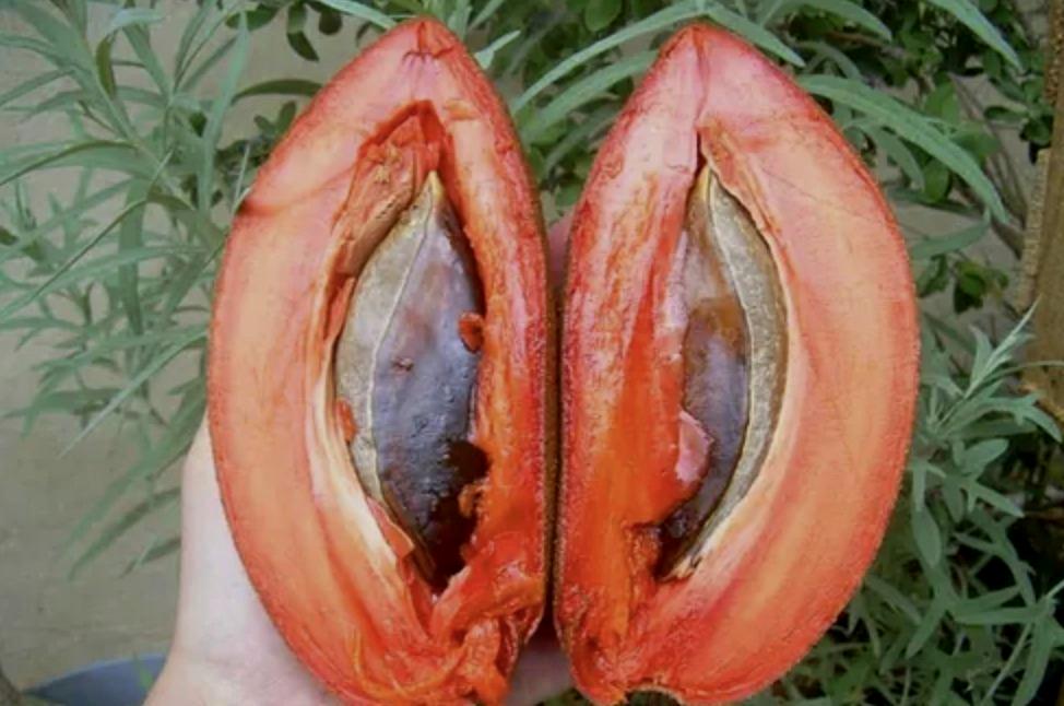 Érzékeny szövetek